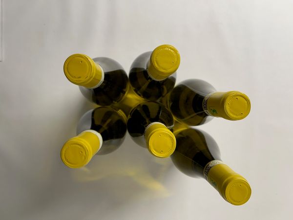 Villa Bucci Castello Di Jesi Riserva, Verdicchio 2017  - Asta Wine and Spirit for Christmas - Associazione Nazionale - Case d'Asta italiane