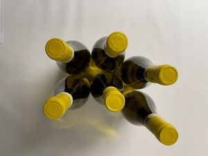 Villa Bucci Castello Di Jesi Riserva, Verdicchio 2017  - Asta Wine and Spirit for Christmas - Associazione Nazionale - Case d'Asta italiane