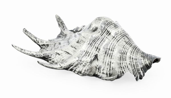 Conchiglia rivestita in argento. Maison Mario Buccellati. Italia XX-XXI secolo  - Asta Argenti da Collezione | XX secolo - Associazione Nazionale - Case d'Asta italiane