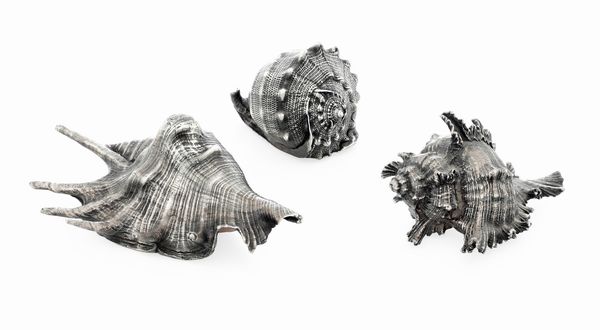 Tre conchiglie rivestite in argento. Argenteria milanese del XX secolo per Maison Deferico Buccellati  - Asta Argenti da Collezione | XX secolo - Associazione Nazionale - Case d'Asta italiane