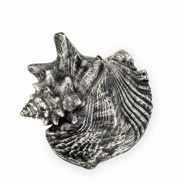Grande conchiglia rivestita in argento, etichetta a scudo Mario Buccellati, Italia XX-XXI secolo  - Asta Argenti da Collezione | XX secolo - Associazione Nazionale - Case d'Asta italiane