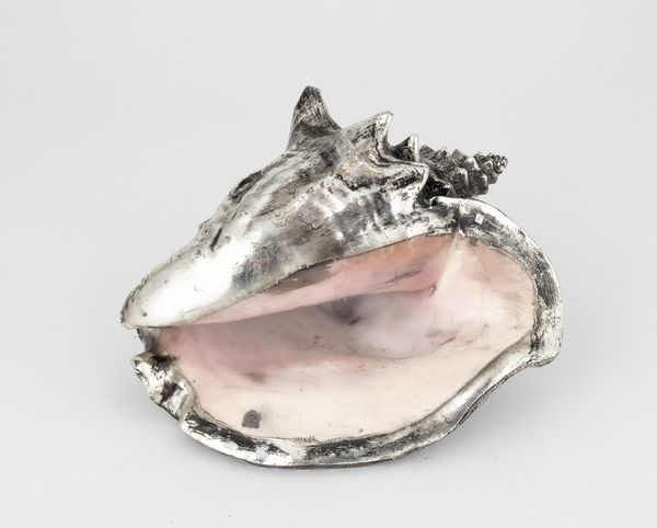 Grande conchiglia rivestita in argento, etichetta a scudo Mario Buccellati, Italia XX-XXI secolo  - Asta Argenti da Collezione | XX secolo - Associazione Nazionale - Case d'Asta italiane