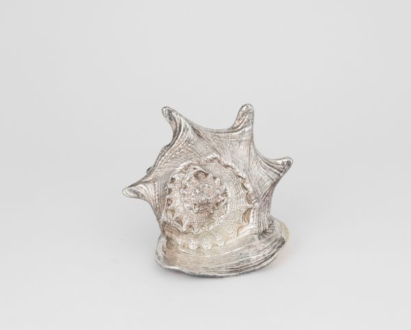 Grande conchiglia rivestita in argento, etichetta a scudo Mario Buccellati, Italia XX-XXI secolo  - Asta Argenti da Collezione | XX secolo - Associazione Nazionale - Case d'Asta italiane