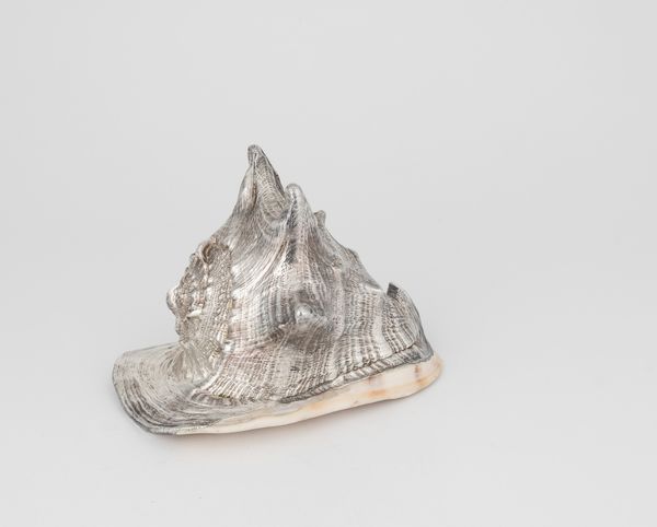 Grande conchiglia rivestita in argento, etichetta a scudo Mario Buccellati, Italia XX-XXI secolo  - Asta Argenti da Collezione | XX secolo - Associazione Nazionale - Case d'Asta italiane