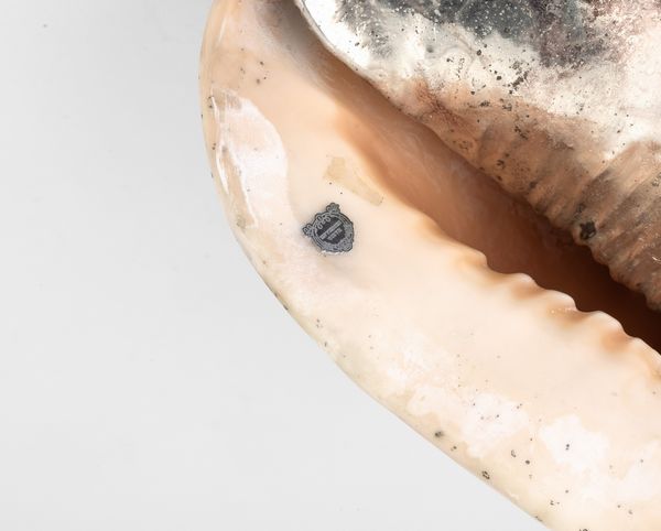 Grande conchiglia rivestita in argento, etichetta a scudo Mario Buccellati, Italia XX-XXI secolo  - Asta Argenti da Collezione | XX secolo - Associazione Nazionale - Case d'Asta italiane
