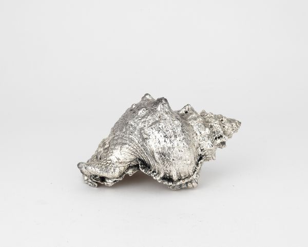 Conchiglia rivestita in argento, etichetta a scudo Mario Buccellati, Italia XX-XXI secolo  - Asta Argenti da Collezione | XX secolo - Associazione Nazionale - Case d'Asta italiane