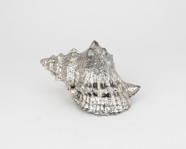 Conchiglia rivestita in argento, etichetta a scudo Mario Buccellati, Italia XX-XXI secolo  - Asta Argenti da Collezione | XX secolo - Associazione Nazionale - Case d'Asta italiane