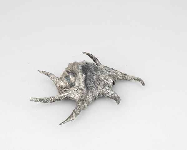 Conchiglia rivestita in argento, etichetta a scudo Mario Buccellati, Italia XX-XXI secolo  - Asta Argenti da Collezione | XX secolo - Associazione Nazionale - Case d'Asta italiane
