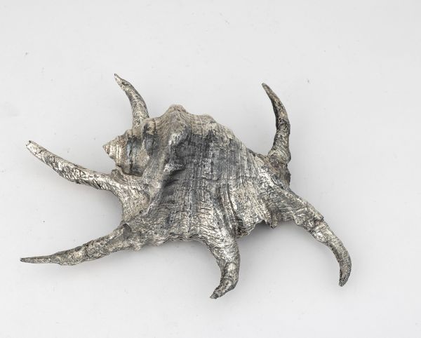Conchiglia rivestita in argento, etichetta a scudo Mario Buccellati, Italia XX-XXI secolo  - Asta Argenti da Collezione | XX secolo - Associazione Nazionale - Case d'Asta italiane
