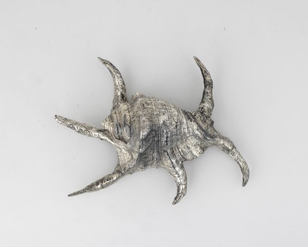 Conchiglia rivestita in argento, etichetta a scudo Mario Buccellati, Italia XX-XXI secolo  - Asta Argenti da Collezione | XX secolo - Associazione Nazionale - Case d'Asta italiane