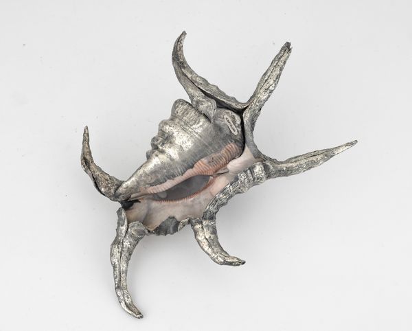 Conchiglia rivestita in argento, etichetta a scudo Mario Buccellati, Italia XX-XXI secolo  - Asta Argenti da Collezione | XX secolo - Associazione Nazionale - Case d'Asta italiane