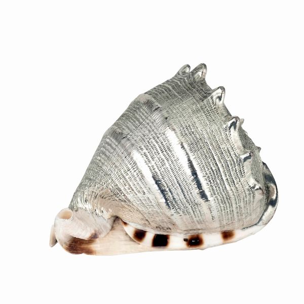 Conchiglia rivestita in argento, etichetta a scudo Mario Buccellati, Italia XX-XXI secolo  - Asta Argenti da Collezione | XX secolo - Associazione Nazionale - Case d'Asta italiane