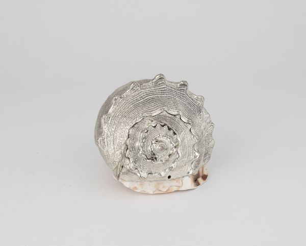 Conchiglia rivestita in argento, etichetta a scudo Mario Buccellati, Italia XX-XXI secolo  - Asta Argenti da Collezione | XX secolo - Associazione Nazionale - Case d'Asta italiane