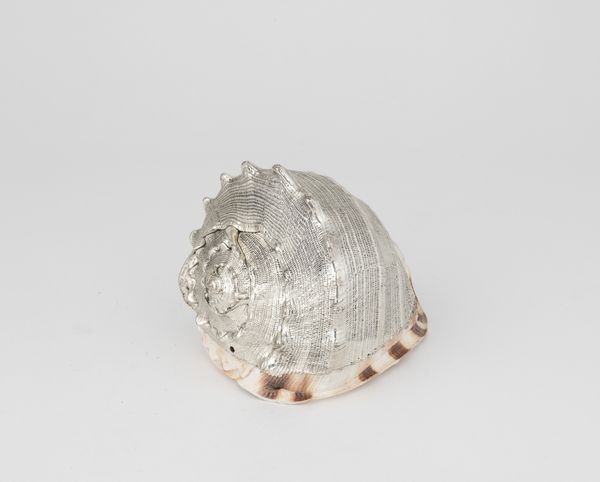 Conchiglia rivestita in argento, etichetta a scudo Mario Buccellati, Italia XX-XXI secolo  - Asta Argenti da Collezione | XX secolo - Associazione Nazionale - Case d'Asta italiane
