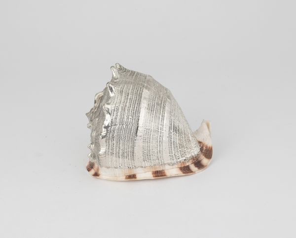 Conchiglia rivestita in argento, etichetta a scudo Mario Buccellati, Italia XX-XXI secolo  - Asta Argenti da Collezione | XX secolo - Associazione Nazionale - Case d'Asta italiane