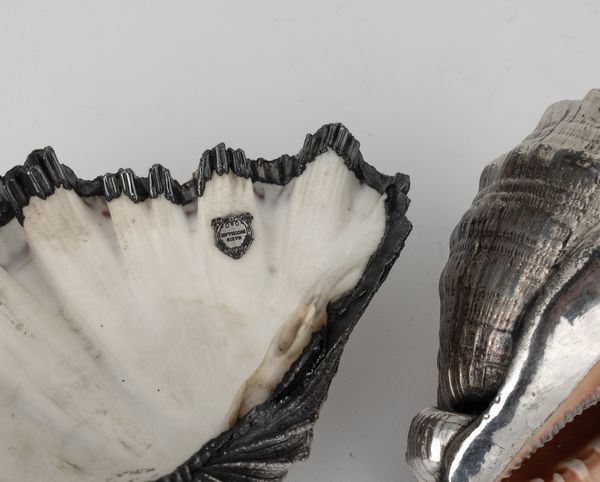 Lotto di due conchiglie rivestite in argento, etichetta a scudo Mario Buccellati, Italia XX-XXI secolo  - Asta Argenti da Collezione | XX secolo - Associazione Nazionale - Case d'Asta italiane