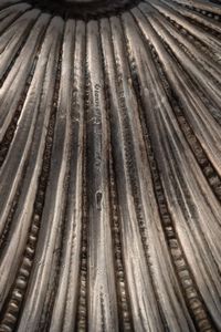 Gruppo di tre conchiglie. Maison Gianmaria Buccellati, argentiere Clementi Bologna, Italia XX-XXI secolo  - Asta Argenti da Collezione | XX secolo - Associazione Nazionale - Case d'Asta italiane