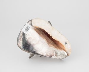 Grande conchiglia rivestita in argento, etichetta a scudo Mario Buccellati, Italia XX-XXI secolo  - Asta Argenti da Collezione | XX secolo - Associazione Nazionale - Case d'Asta italiane