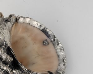 Conchiglia rivestita in argento, etichetta a scudo Mario Buccellati, Italia XX-XXI secolo  - Asta Argenti da Collezione | XX secolo - Associazione Nazionale - Case d'Asta italiane