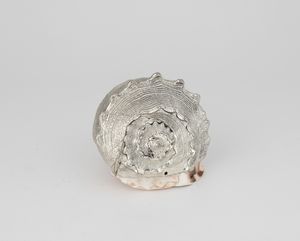 Conchiglia rivestita in argento, etichetta a scudo Mario Buccellati, Italia XX-XXI secolo  - Asta Argenti da Collezione | XX secolo - Associazione Nazionale - Case d'Asta italiane