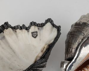 Lotto di due conchiglie rivestite in argento, etichetta a scudo Mario Buccellati, Italia XX-XXI secolo  - Asta Argenti da Collezione | XX secolo - Associazione Nazionale - Case d'Asta italiane
