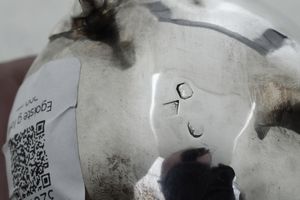 Egoiste. Parigi, ultimo decennio del XVIII secolo. Marchio dell'argentiere consunto di difficile lettura  - Asta Argenti da Collezione | Antichi - Associazione Nazionale - Case d'Asta italiane