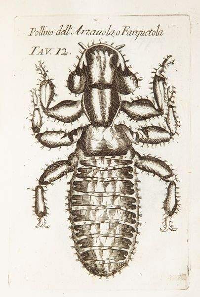 Opere di Francesco Redi gentiluomo aretino e accademico della Crusca In questa nuova edizione accresciute e migliorate. Tomo primo - Tomo secondo  - Asta Libri Antichi e Stampe - Associazione Nazionale - Case d'Asta italiane