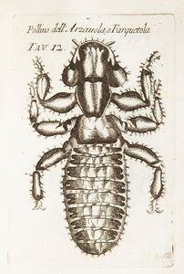 Opere di Francesco Redi gentiluomo aretino e accademico della Crusca In questa nuova edizione accresciute e migliorate. Tomo primo - Tomo secondo  - Asta Libri Antichi e Stampe - Associazione Nazionale - Case d'Asta italiane