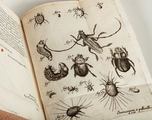 Opere di Francesco Redi gentiluomo aretino e accademico della Crusca In questa nuova edizione accresciute e migliorate. Tomo primo - Tomo secondo  - Asta Libri Antichi e Stampe - Associazione Nazionale - Case d'Asta italiane