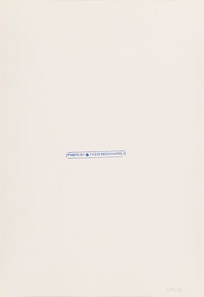 TAZIO SECCHIAROLI : Senza titolo  - Asta Fotografia - Associazione Nazionale - Case d'Asta italiane