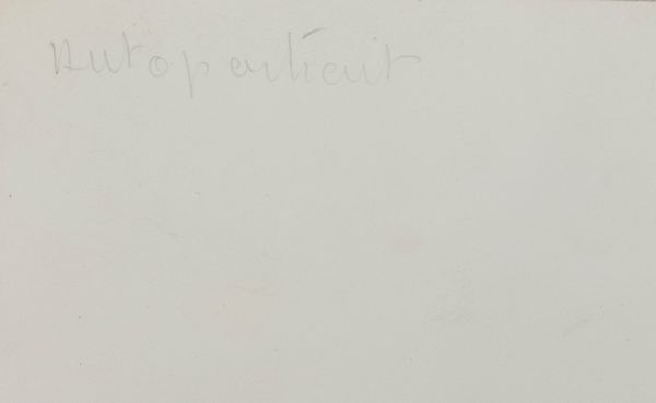 Man Ray : L'Autoritratto  - Asta Fotografia - Associazione Nazionale - Case d'Asta italiane