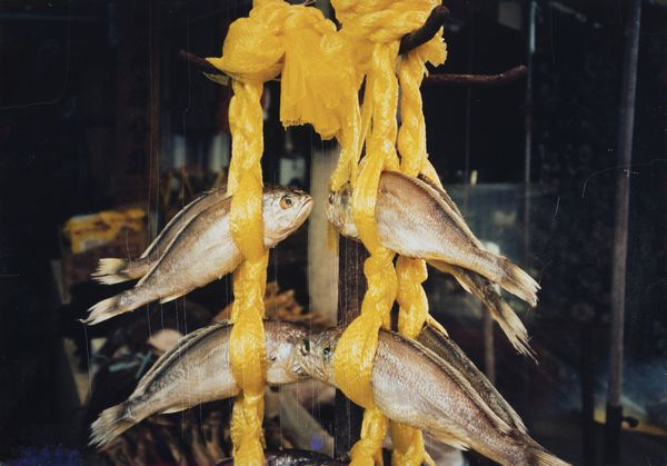 Ingeborg Lüscher : Senza titolo. Bellezze prima del forno  - Asta Fotografia - Associazione Nazionale - Case d'Asta italiane