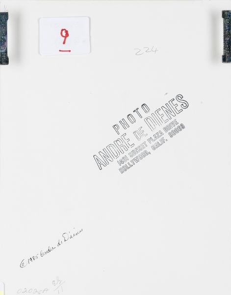 André De Dienes : Marilyn nelle vesti di Alice nel Paese delle Meraviglie  - Asta Fotografia - Associazione Nazionale - Case d'Asta italiane