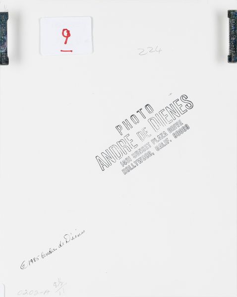 André De Dienes : Marilyn nelle vesti di Alice nel Paese delle Meraviglie  - Asta Fotografia - Associazione Nazionale - Case d'Asta italiane