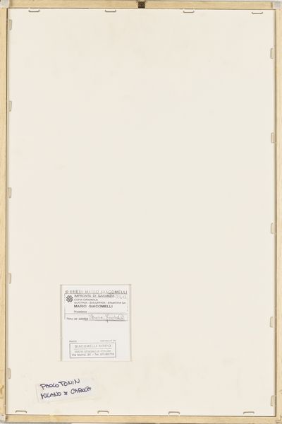 Mario Giacomelli : Gatto  - Asta Fotografia - Associazione Nazionale - Case d'Asta italiane