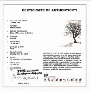 Abbas Gharib : Lonely Tree, dalla serie Snow white photo collection  - Asta Fotografia - Associazione Nazionale - Case d'Asta italiane