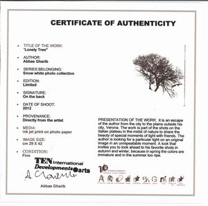 Abbas Gharib : Lonely Tree, dalla serie Snow white photo collection  - Asta Fotografia - Associazione Nazionale - Case d'Asta italiane