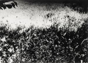 Mario Giacomelli - Senza titolo, dalla serie Presa di coscienza sulla Natura