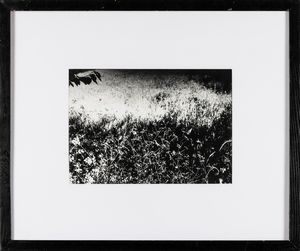 Mario Giacomelli : Senza titolo, dalla serie Presa di coscienza sulla Natura  - Asta Fotografia - Associazione Nazionale - Case d'Asta italiane