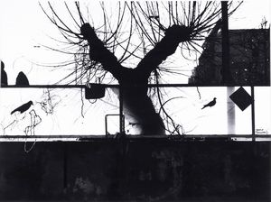 Mario Giacomelli - In riva al mare