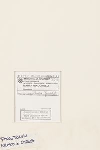 Mario Giacomelli : Gatto  - Asta Fotografia - Associazione Nazionale - Case d'Asta italiane