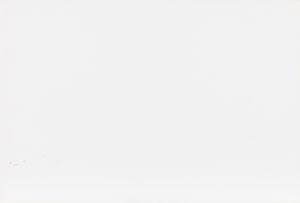 Mario Giacomelli : Senza titolo  - Asta Fotografia - Associazione Nazionale - Case d'Asta italiane