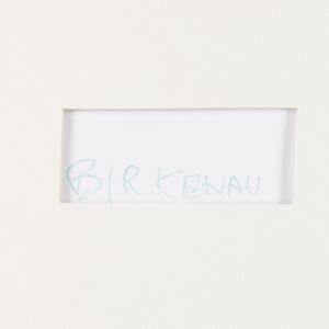 Mario Dondero : Birkenau  - Asta Fotografia - Associazione Nazionale - Case d'Asta italiane