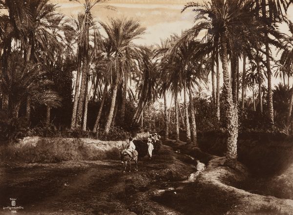 Rudolf Lehnert<br>Ernst Landrock : Senza titolo  - Asta Fotografia - Associazione Nazionale - Case d'Asta italiane