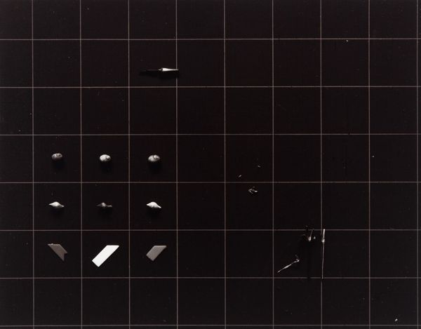 Pradip Malde : Shell grid  - Asta Fotografia - Associazione Nazionale - Case d'Asta italiane