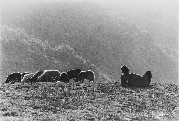 Marzia Malli : Campagna  - Asta Fotografia - Associazione Nazionale - Case d'Asta italiane