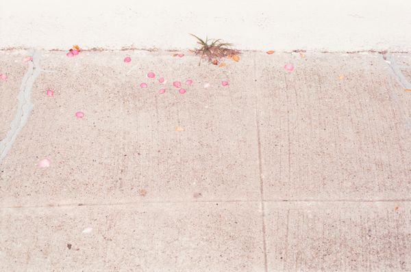 Phillip S. Block : Senza titolo  - Asta Fotografia - Associazione Nazionale - Case d'Asta italiane