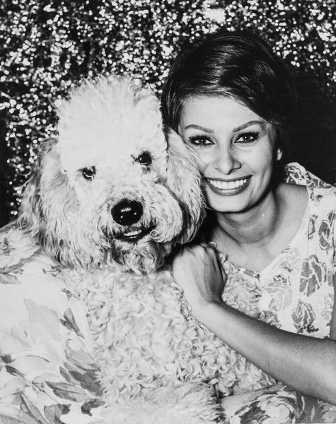 Anonimo : Sophia Loren  - Asta Fotografia - Associazione Nazionale - Case d'Asta italiane