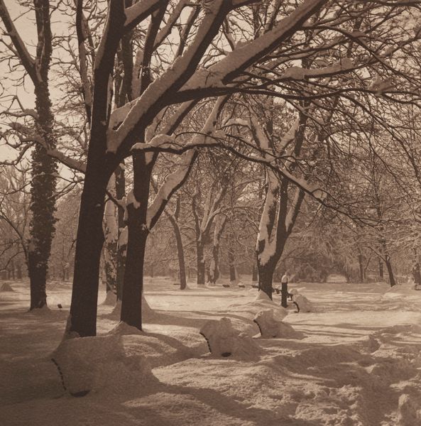 Vincenzo Aragozzini : Senza titolo  - Asta Fotografia - Associazione Nazionale - Case d'Asta italiane