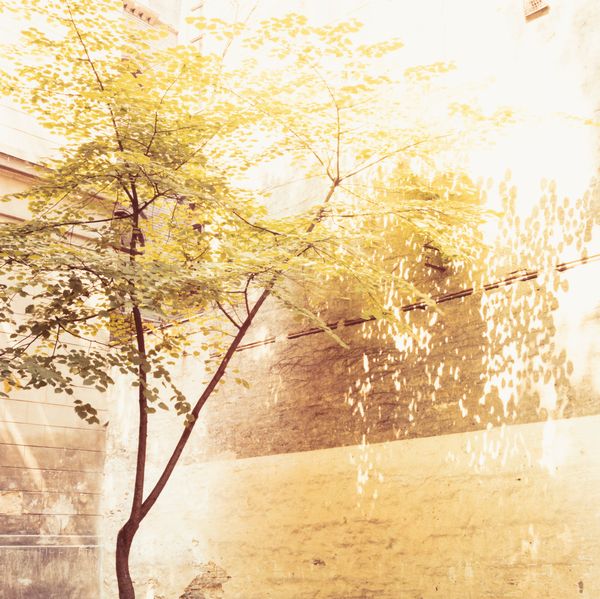 Mark De Fraeye : Senza titolo  - Asta Fotografia - Associazione Nazionale - Case d'Asta italiane